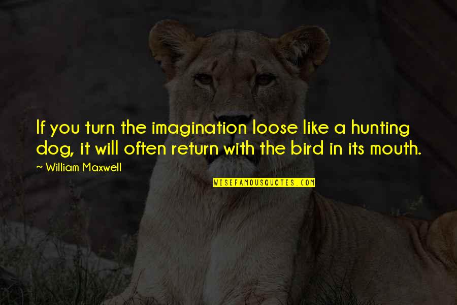 Bird Dog Quotes By William Maxwell: If you turn the imagination loose like a