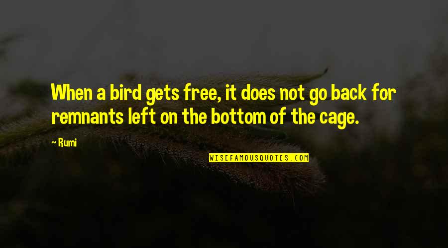 Bird Free From Cage Quotes By Rumi: When a bird gets free, it does not