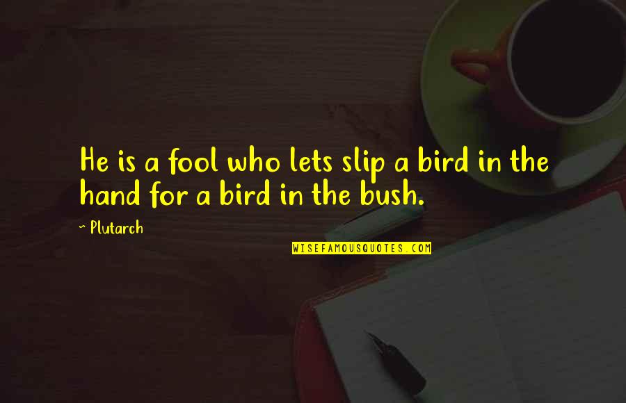 Bird In The Hand Quotes By Plutarch: He is a fool who lets slip a