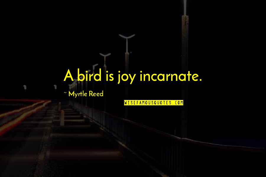 Bird Joy Quotes By Myrtle Reed: A bird is joy incarnate. Bird Joy Quotes By Myrtle Reed: A bird is joy incarnate.