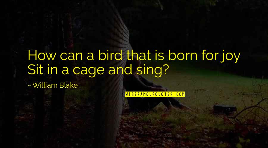 Bird Joy Quotes By William Blake: How can a bird that is born for