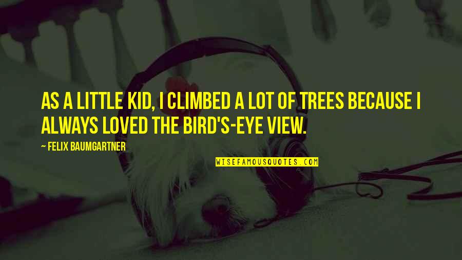 Bird Kid Quotes By Felix Baumgartner: As a little kid, I climbed a lot