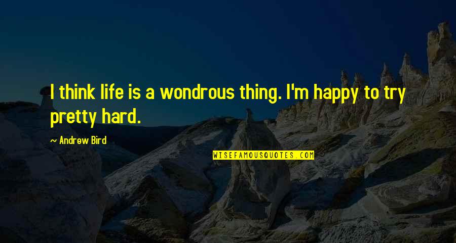 Bird Life Quotes By Andrew Bird: I think life is a wondrous thing. I'm