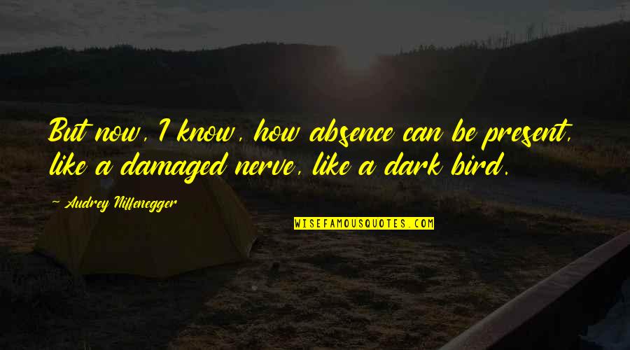 Bird Life Quotes By Audrey Niffenegger: But now, I know, how absence can be