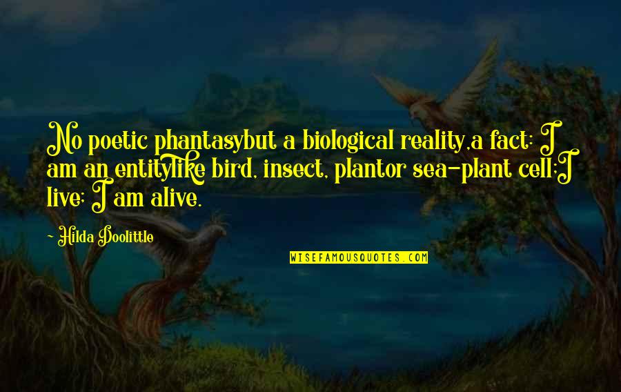 Bird Life Quotes By Hilda Doolittle: No poetic phantasybut a biological reality,a fact: I