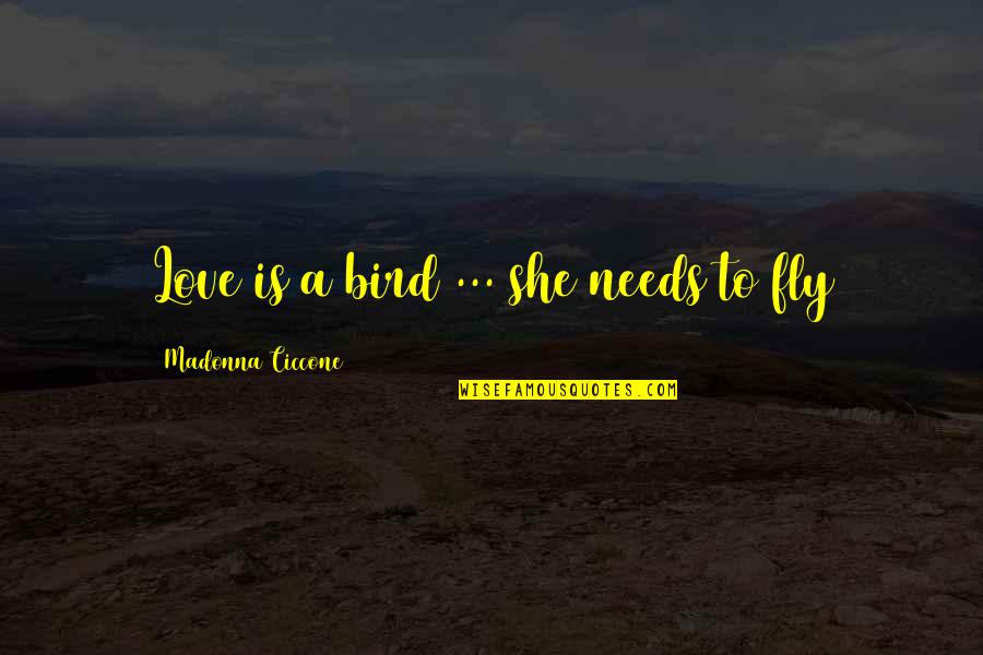 Bird Life Quotes By Madonna Ciccone: Love is a bird ... she needs to