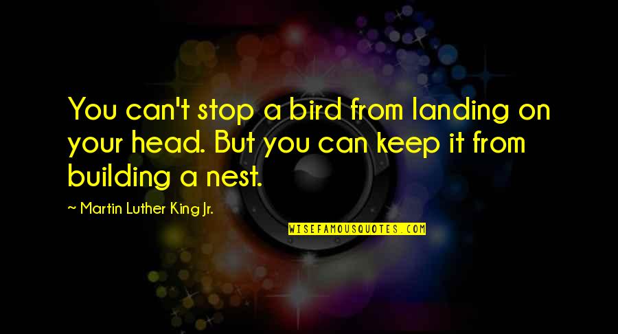 Bird Nest Quotes By Martin Luther King Jr.: You can't stop a bird from landing on