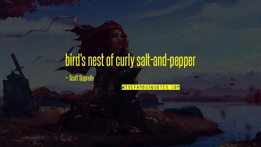 Bird Nest Quotes By Scott Sipprelle: bird's nest of curly salt-and-pepper