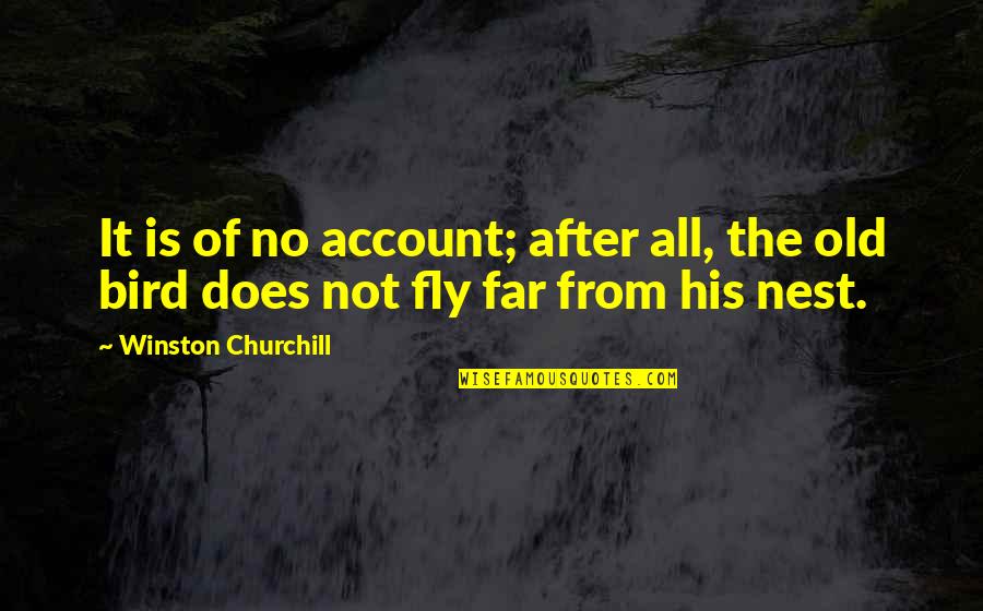 Bird Nest Quotes By Winston Churchill: It is of no account; after all, the