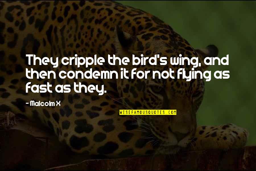 Bird O'donnell Quotes By Malcolm X: They cripple the bird's wing, and then condemn