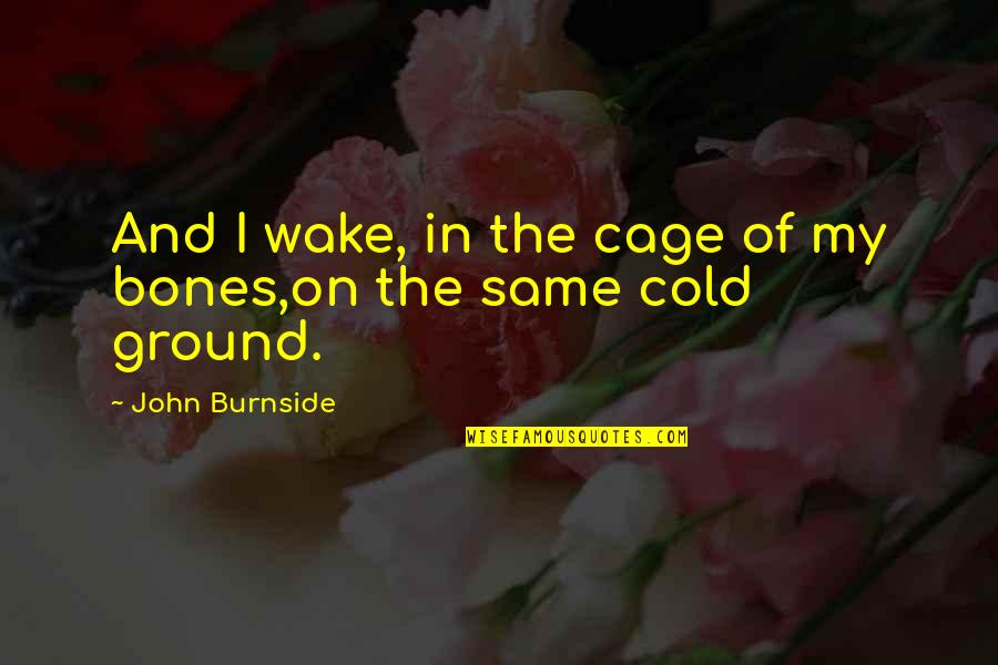 Bird Out Of Cage Quotes By John Burnside: And I wake, in the cage of my