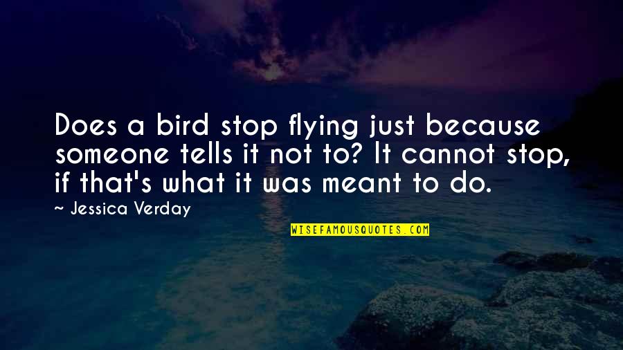 Bird Quotes By Jessica Verday: Does a bird stop flying just because someone