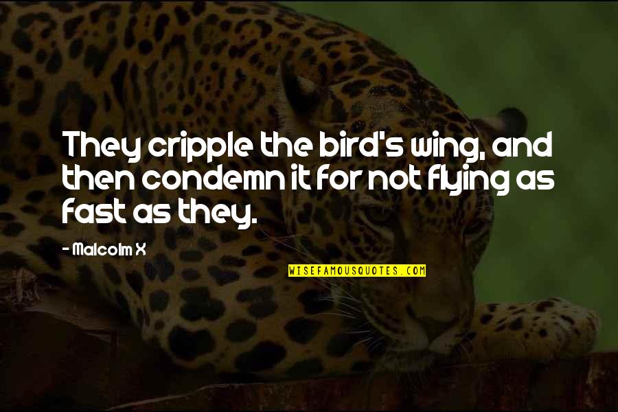 Bird Quotes By Malcolm X: They cripple the bird's wing, and then condemn