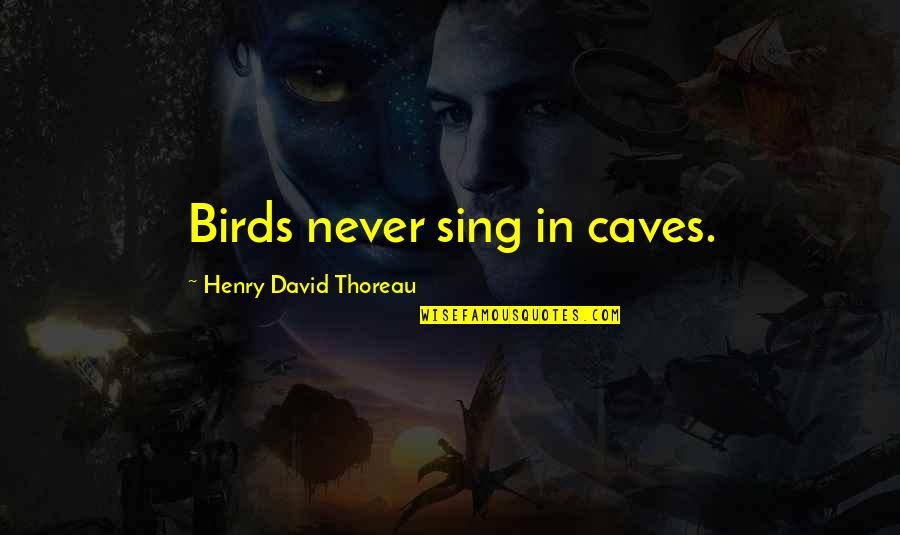 Bird Sing Quotes By Henry David Thoreau: Birds never sing in caves.