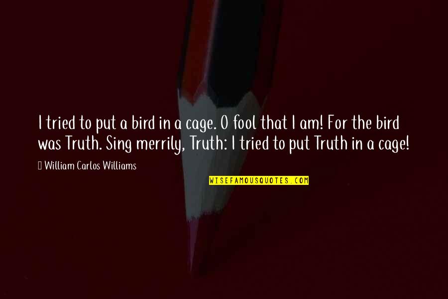 Bird Sing Quotes By William Carlos Williams: I tried to put a bird in a