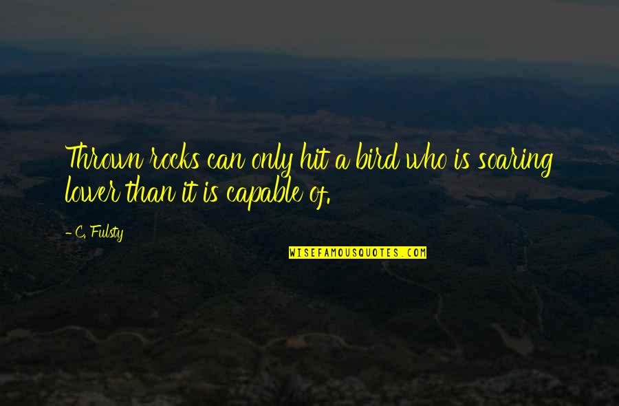 Bird Soaring Quotes By C. Fulsty: Thrown rocks can only hit a bird who