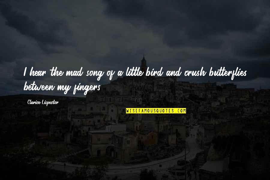 Bird Song Quotes By Clarice Lispector: I hear the mad song of a little Bird Song Quotes By Clarice Lispector: I hear the mad song of a little
