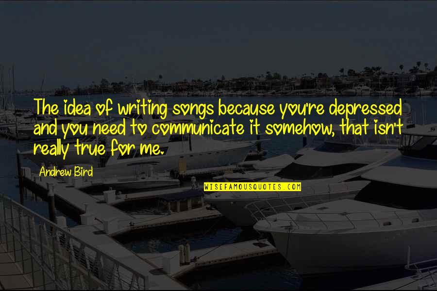 Bird Songs Quotes By Andrew Bird: The idea of writing songs because you're depressed