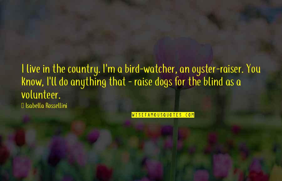 Bird Watcher Quotes By Isabella Rossellini: I live in the country. I'm a bird-watcher,