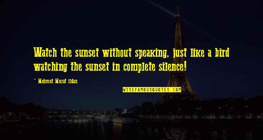 Bird Watching Quotes By Mehmet Murat Ildan: Watch the sunset without speaking, just like a Bird Watching Quotes By Mehmet Murat Ildan: Watch the sunset without speaking, just like a