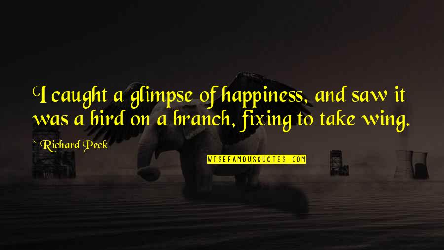 Bird Wing Quotes By Richard Peck: I caught a glimpse of happiness, and saw