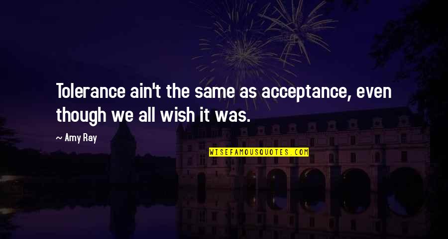 Birdalicious Quotes By Amy Ray: Tolerance ain't the same as acceptance, even though