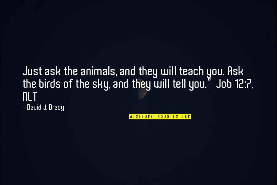 Birds And Animals Quotes By David J. Brady: Just ask the animals, and they will teach