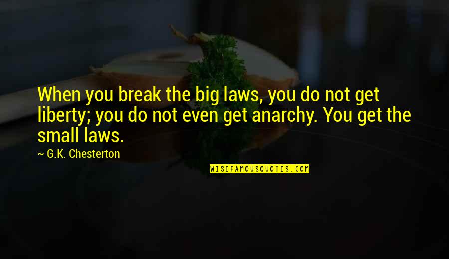 Birds And Animals Quotes By G.K. Chesterton: When you break the big laws, you do