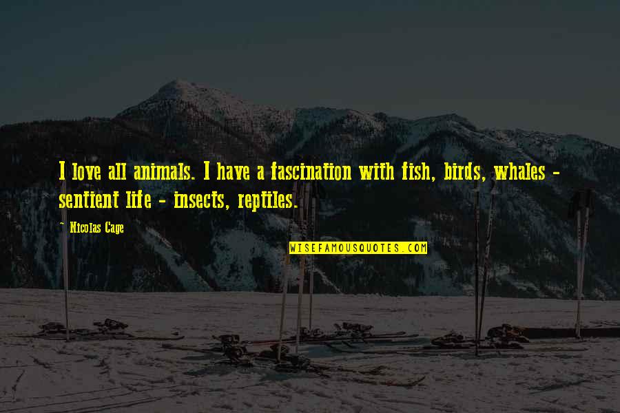 Birds And Animals Quotes By Nicolas Cage: I love all animals. I have a fascination