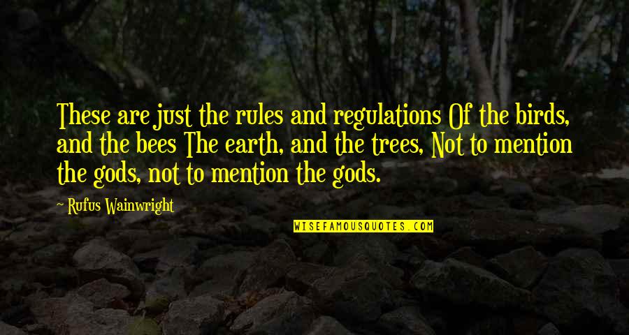 Birds And Bees Quotes By Rufus Wainwright: These are just the rules and regulations Of