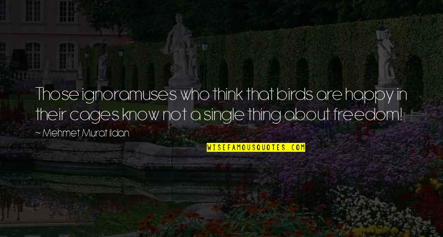 Birds And Freedom Quotes By Mehmet Murat Ildan: Those ignoramuses who think that birds are happy