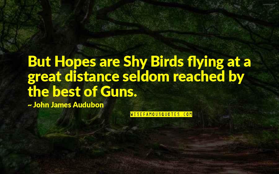 Birds And Hope Quotes By John James Audubon: But Hopes are Shy Birds flying at a