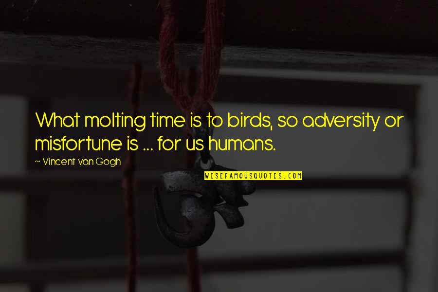 Birds And Humans Quotes By Vincent Van Gogh: What molting time is to birds, so adversity
