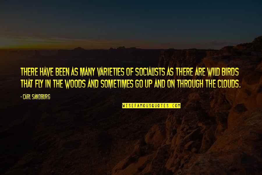 Birds And Quotes By Carl Sandburg: There have been as many varieties of socialists