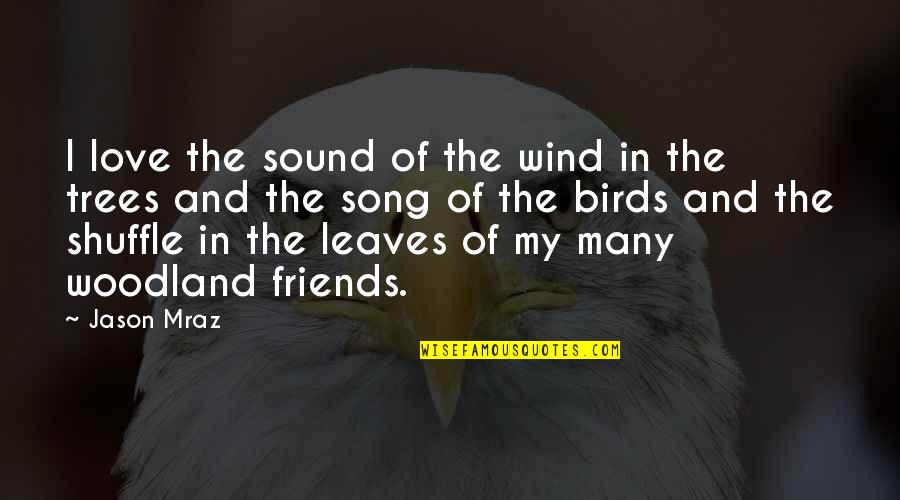 Birds And Quotes By Jason Mraz: I love the sound of the wind in