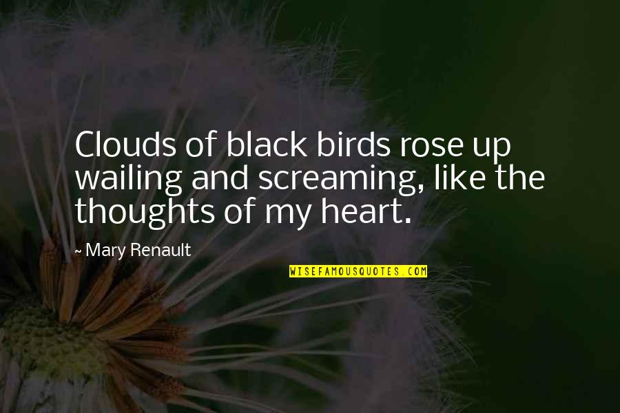 Birds And Quotes By Mary Renault: Clouds of black birds rose up wailing and