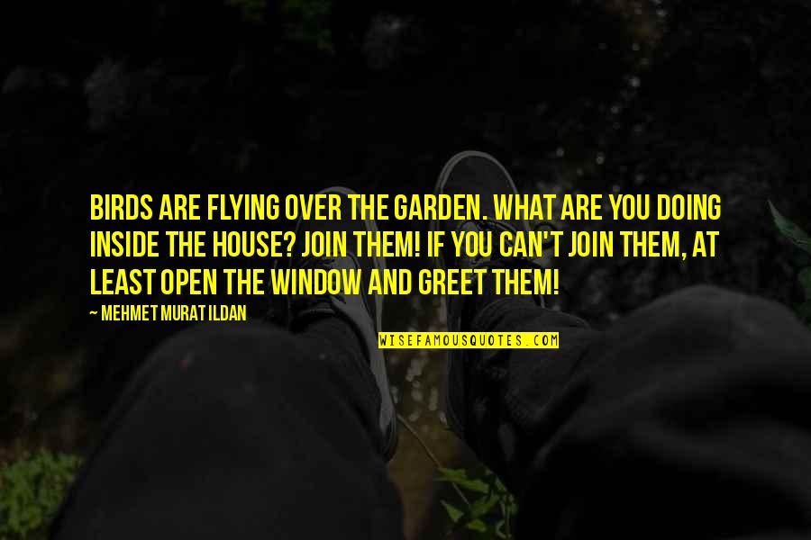 Birds And Quotes By Mehmet Murat Ildan: Birds are flying over the garden. What are