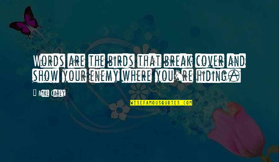 Birds And Quotes By Mike Carey: Words are the birds that break cover and