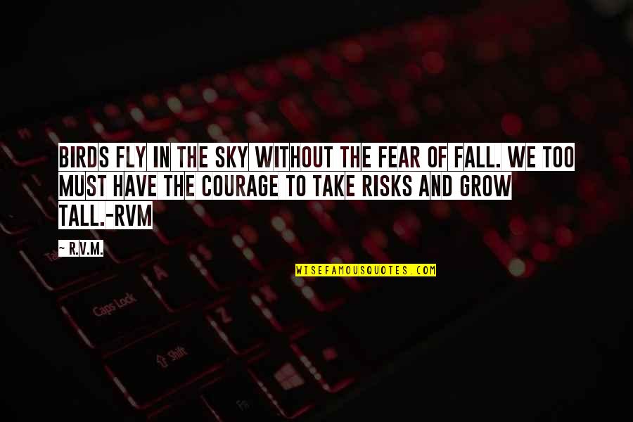 Birds And Quotes By R.v.m.: Birds fly in the sky without the fear