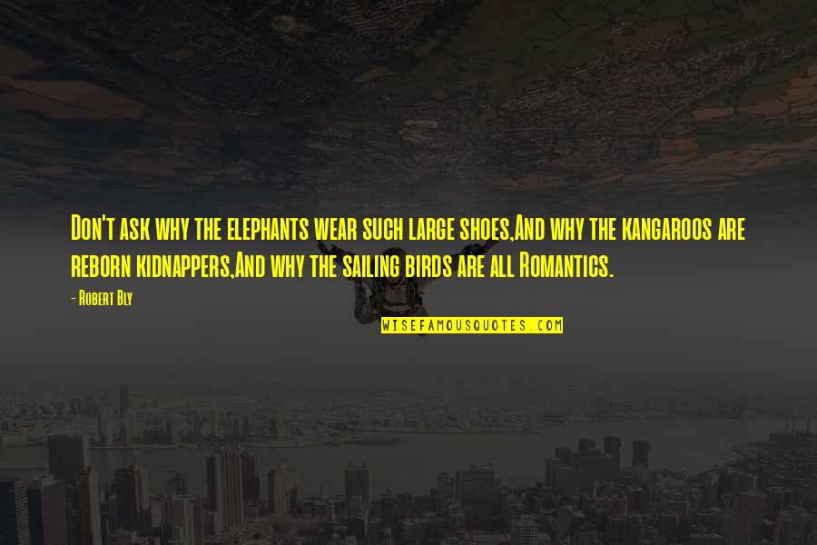Birds And Quotes By Robert Bly: Don't ask why the elephants wear such large