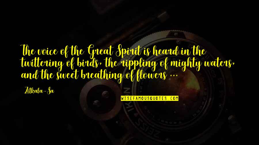 Birds And Quotes By Zitkala-Sa: The voice of the Great Spirit is heard