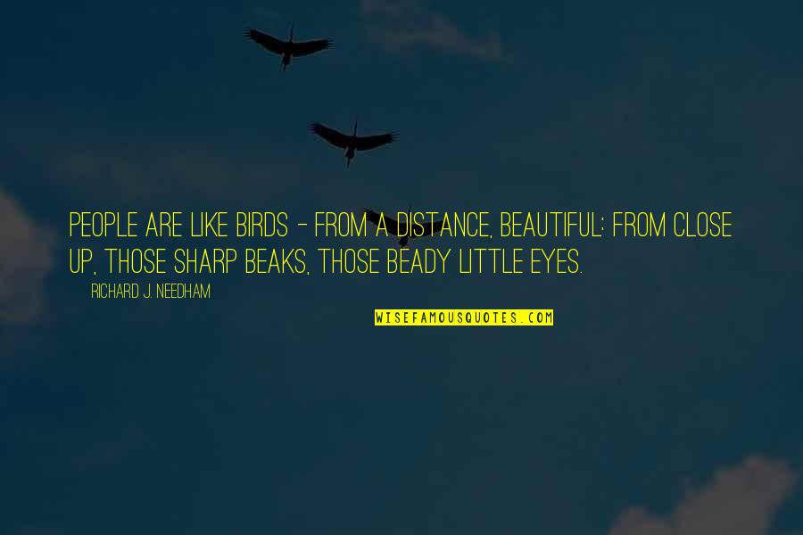 Birds Are Beautiful Quotes By Richard J. Needham: People are like birds - from a distance, Birds Are Beautiful Quotes By Richard J. Needham: People are like birds - from a distance,