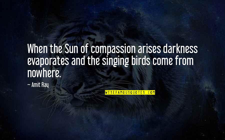 Birds Are Singing Quotes By Amit Ray: When the Sun of compassion arises darkness evaporates