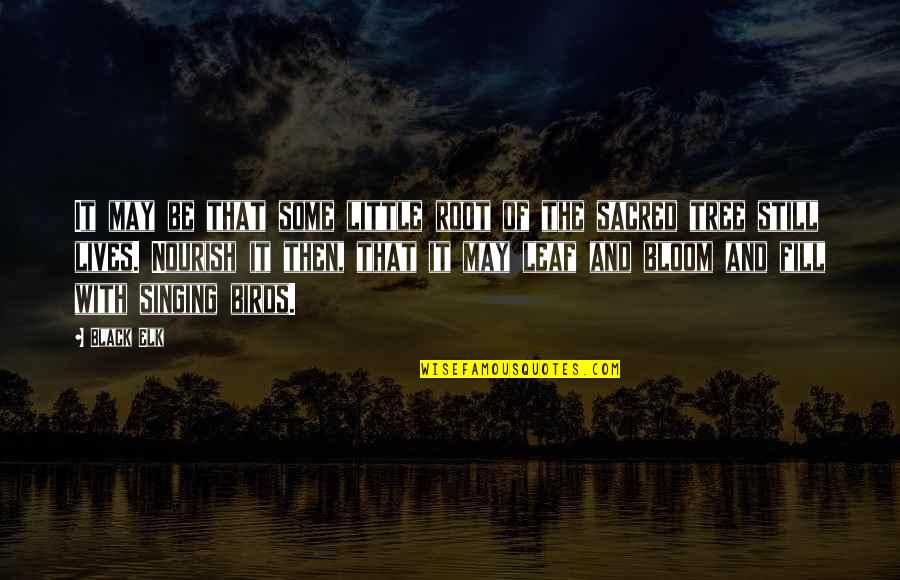 Birds Are Singing Quotes By Black Elk: It may be that some little root of