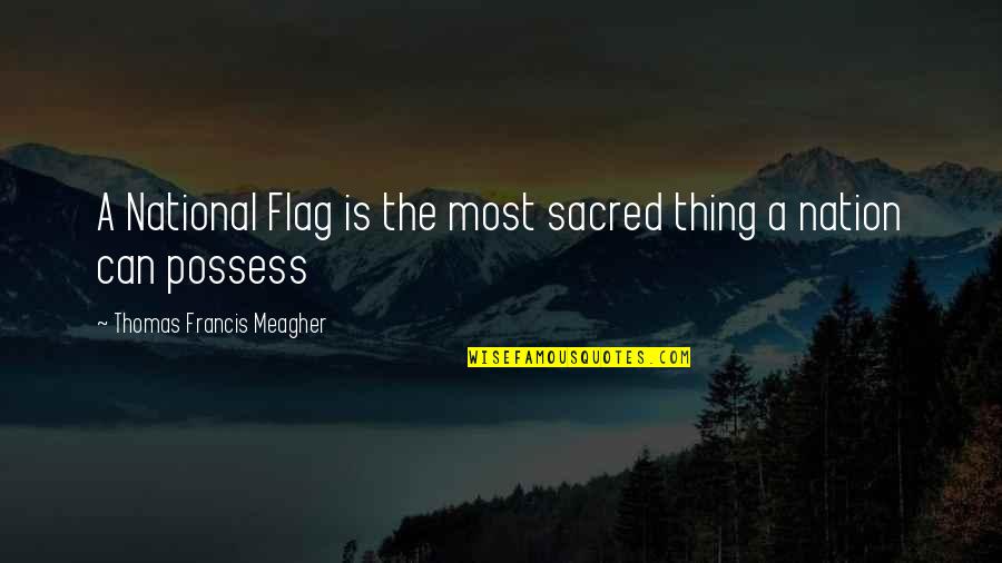Birds Environment Quotes By Thomas Francis Meagher: A National Flag is the most sacred thing