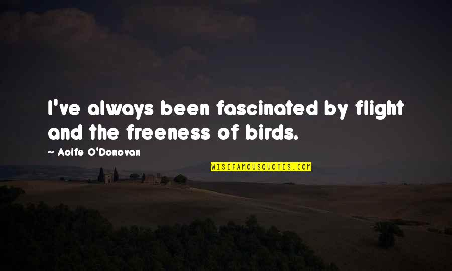 Birds Flight Quotes By Aoife O'Donovan: I've always been fascinated by flight and the