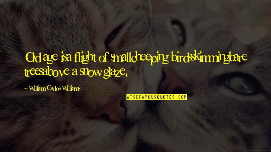 Birds Flight Quotes By William Carlos Williams: Old age isa flight of smallcheeping birdsskimmingbare treesabove