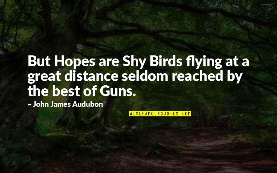 Birds Flying Quotes By John James Audubon: But Hopes are Shy Birds flying at a