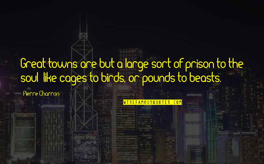 Birds In Cages Quotes By Pierre Charron: Great towns are but a large sort of Birds In Cages Quotes By Pierre Charron: Great towns are but a large sort of