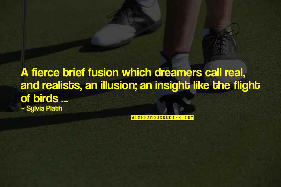 Birds In Flight Quotes By Sylvia Plath: A fierce brief fusion which dreamers call real,